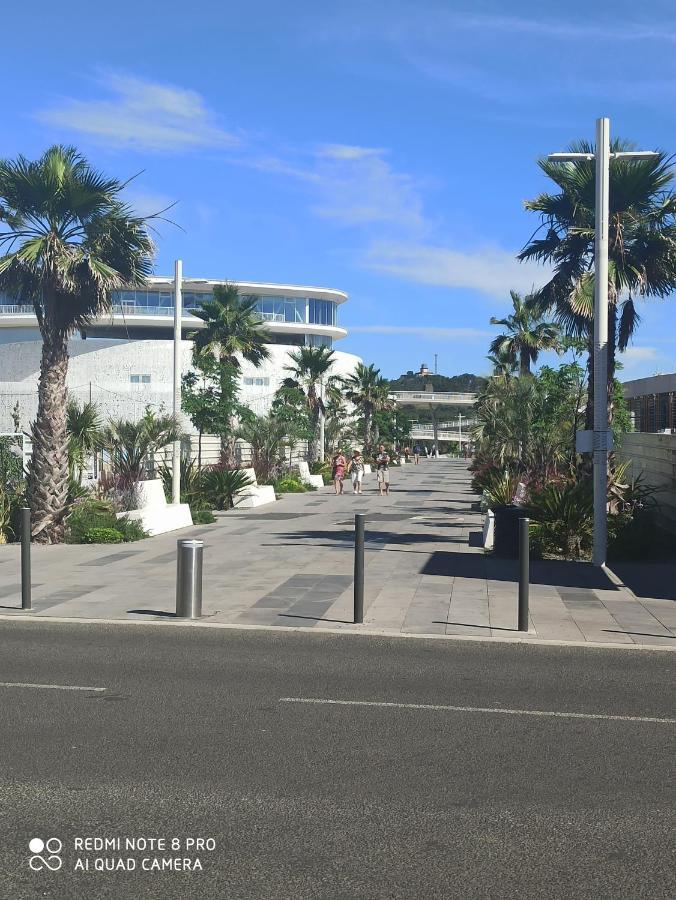 Port Studio Piscine, Parking, Prive,Navette Aeroport Агд Экстерьер фото